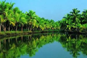 Visite du Kerala Ayurvédique