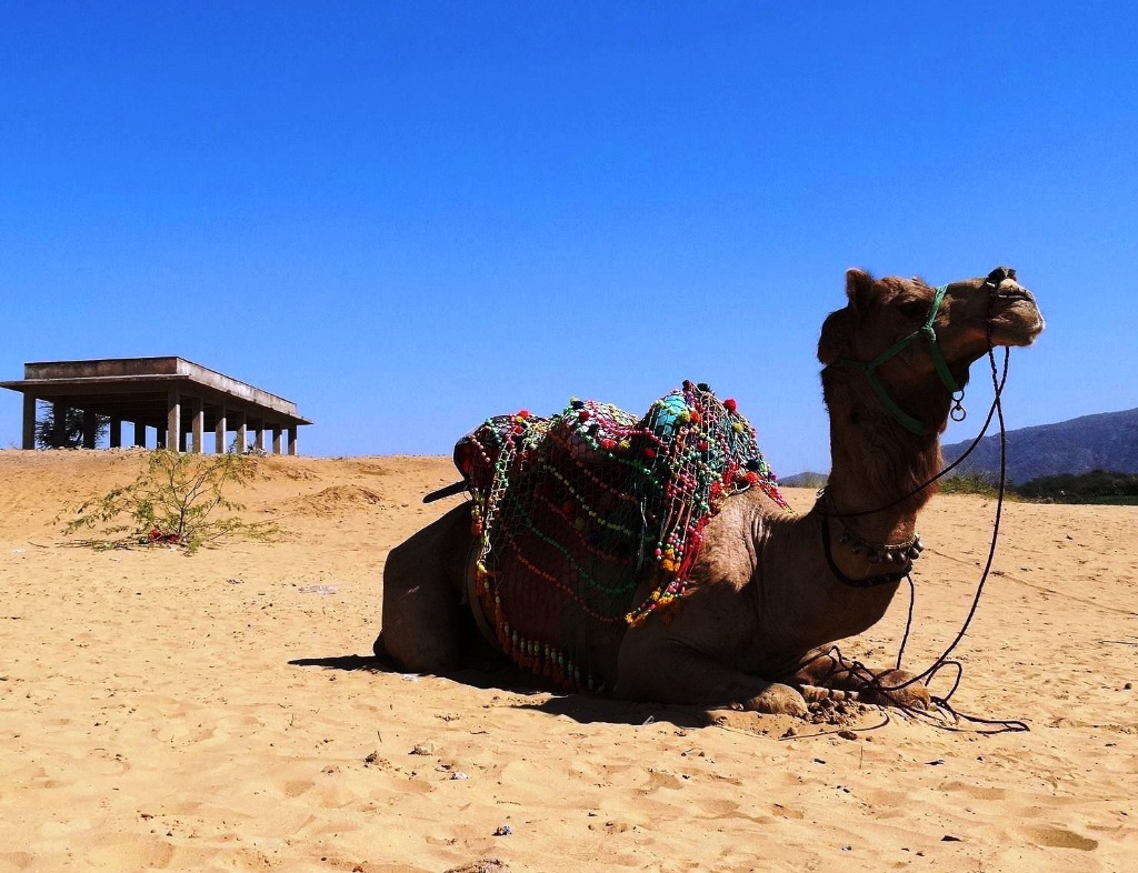 Pushkar